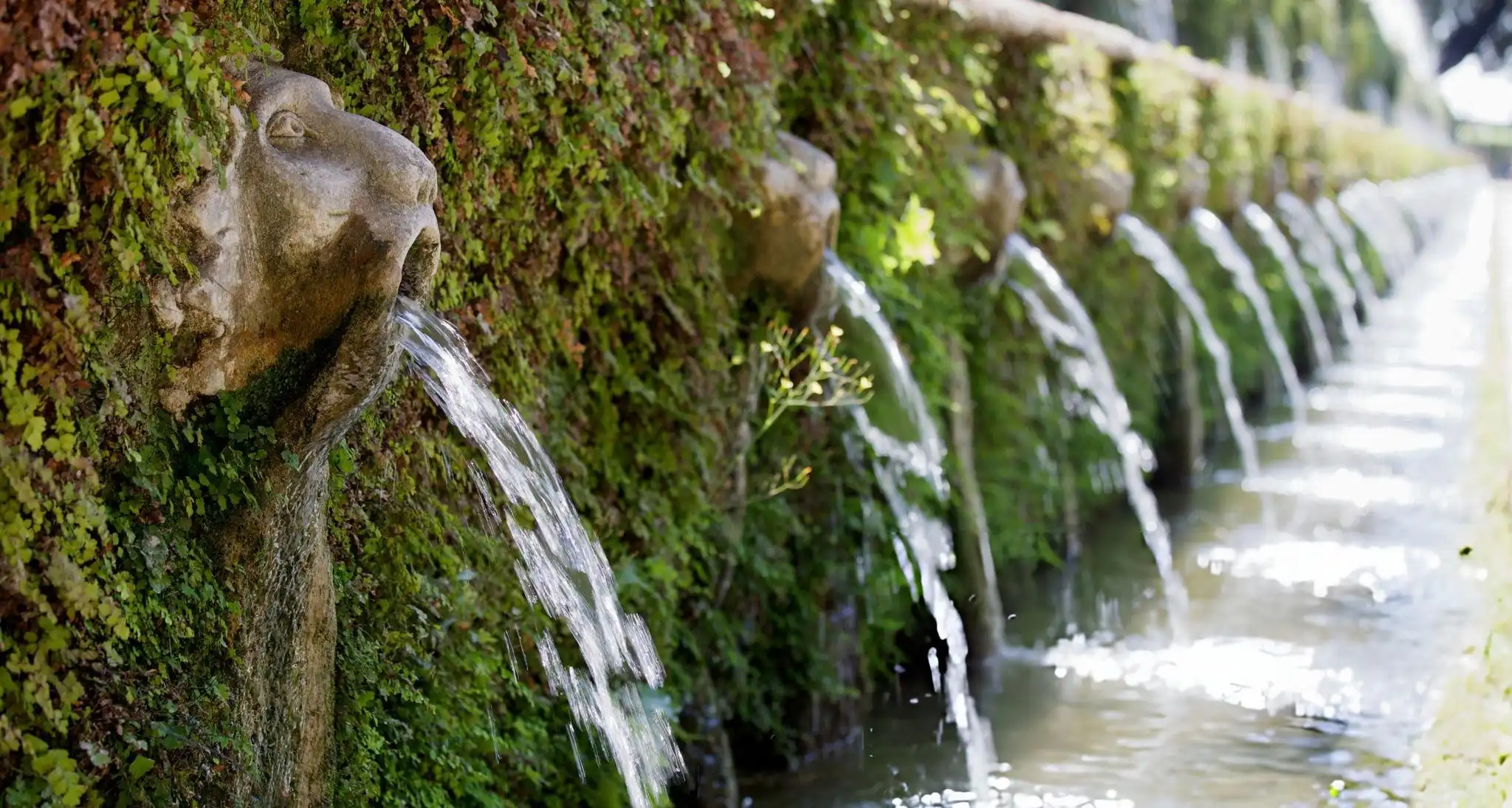 Luxury Water Features & Pool Design