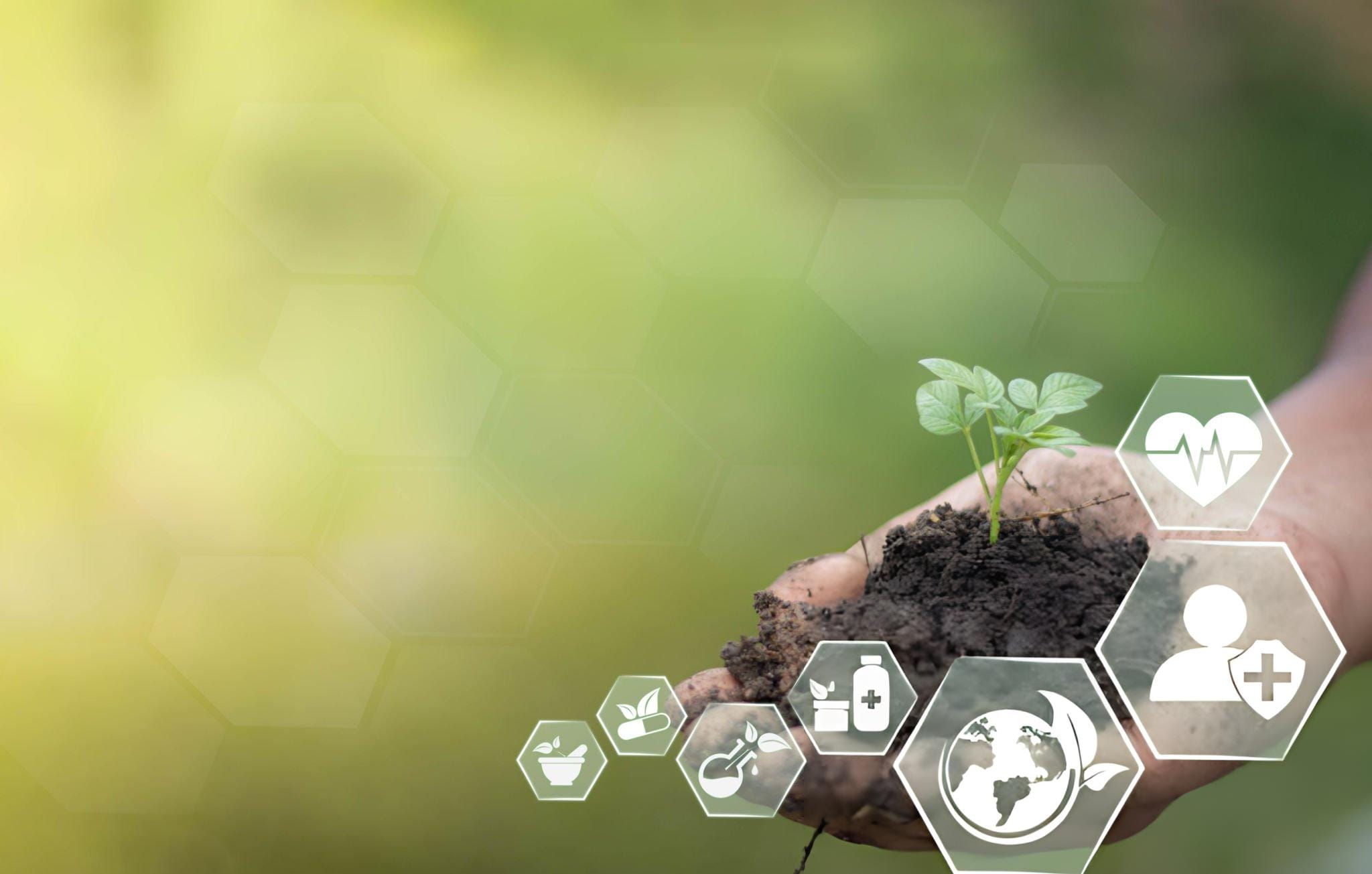 Environmental and Sustainability Consulting (2)