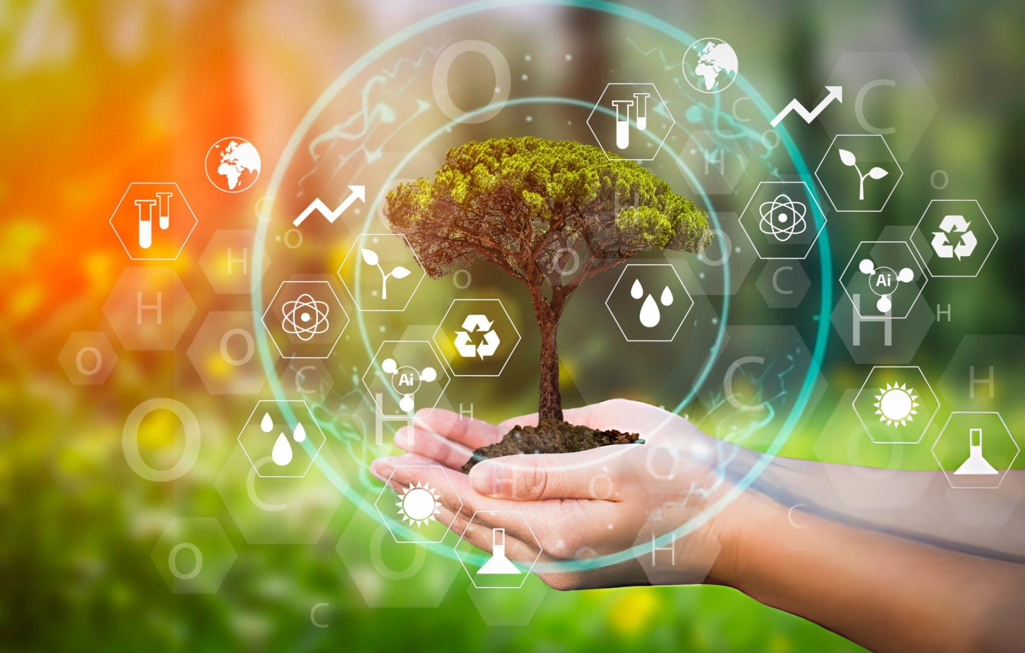 Environmental and Sustainability Consulting (2)