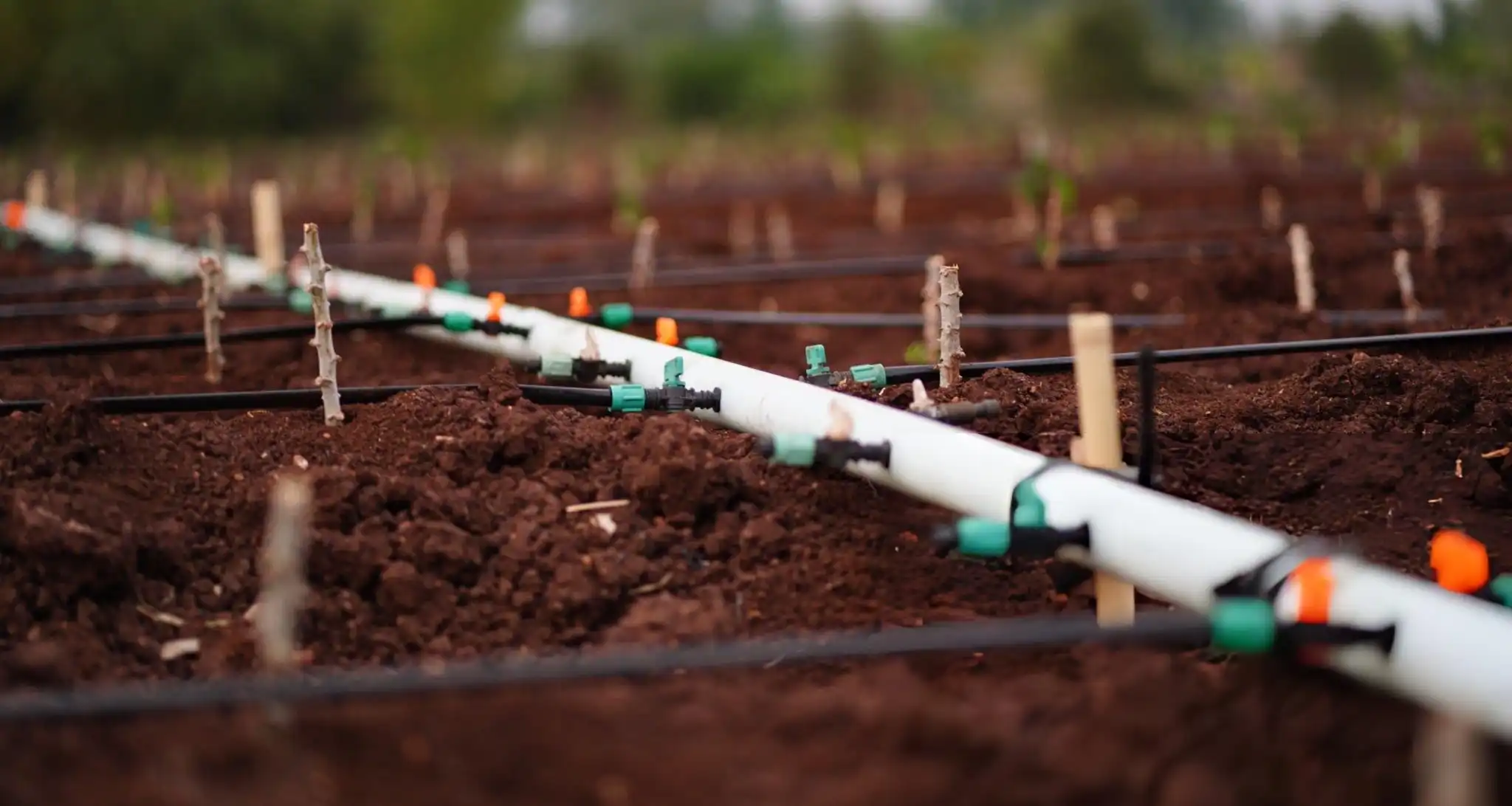 Irrigation System Planning & Designing UAE