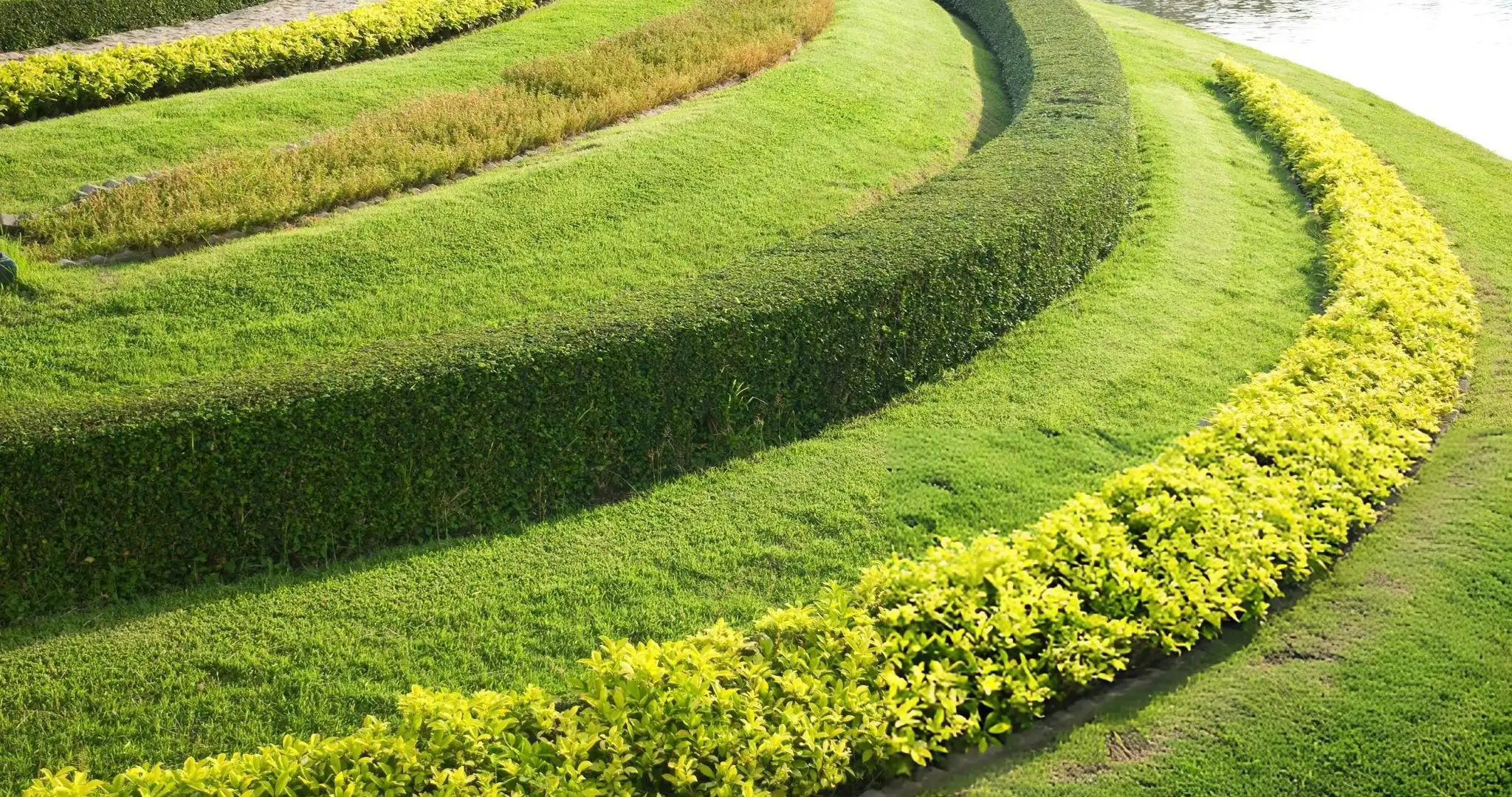 Softscape Design in UAE