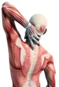 Muscle weakness