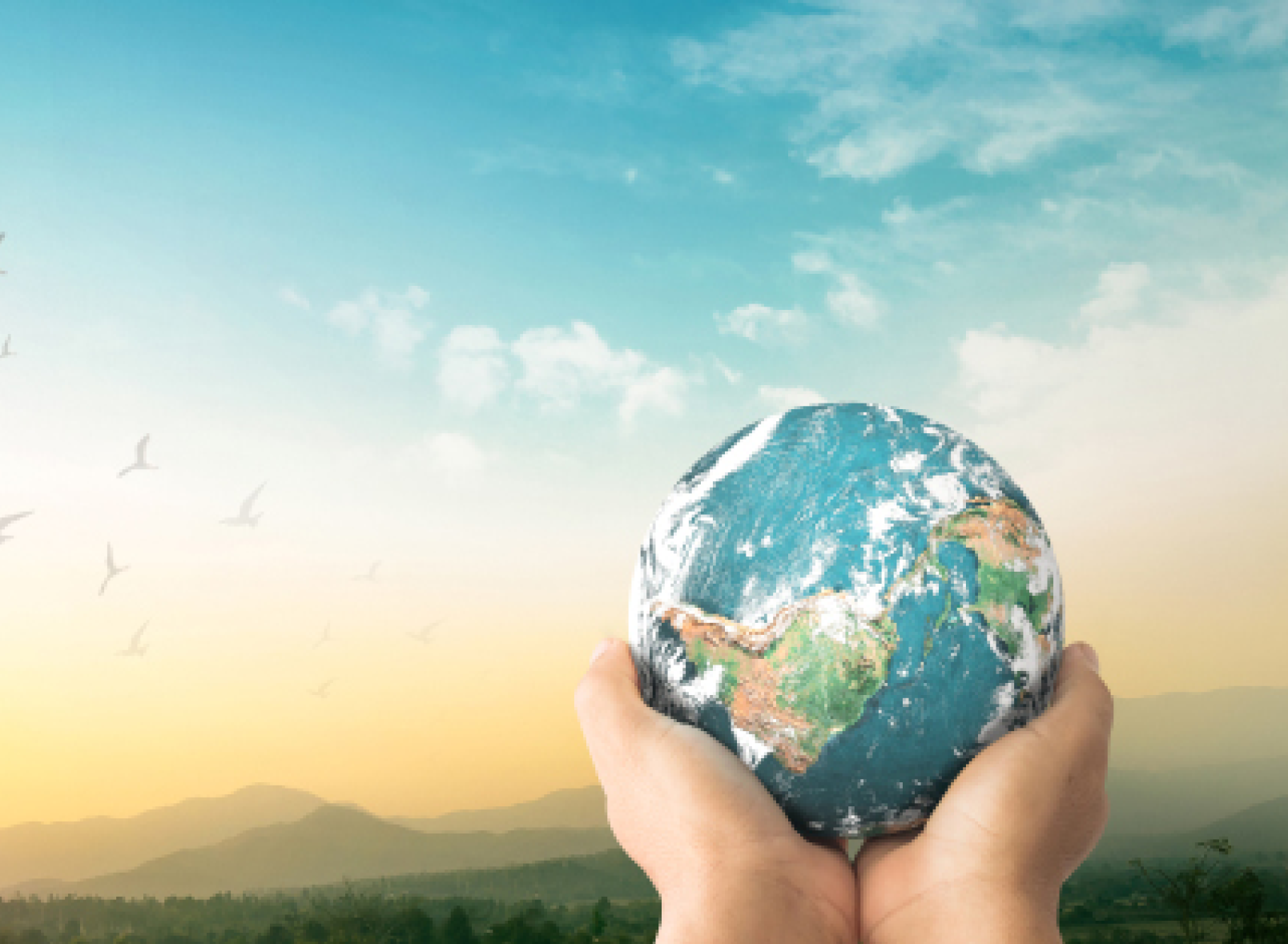 Environmental Solution provided by Fermenta Biotech